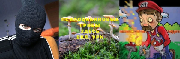 ГАЛЛЮЦИНОГЕННЫЕ ГРИБЫ Лихославль