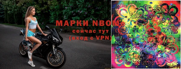 ГАЛЛЮЦИНОГЕННЫЕ ГРИБЫ Лихославль