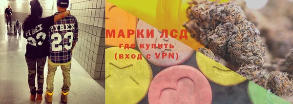 ГАЛЛЮЦИНОГЕННЫЕ ГРИБЫ Лихославль