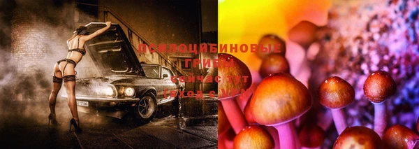 ГАЛЛЮЦИНОГЕННЫЕ ГРИБЫ Лихославль